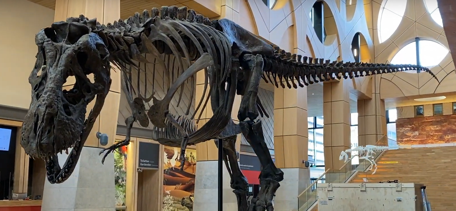 20 Questions You Didn’t Know You Had About Large Format 3D Printers